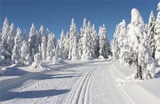  Cross -country pendientes en Savoy